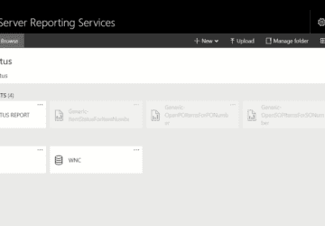 Item report for SQL Server Reporting Services