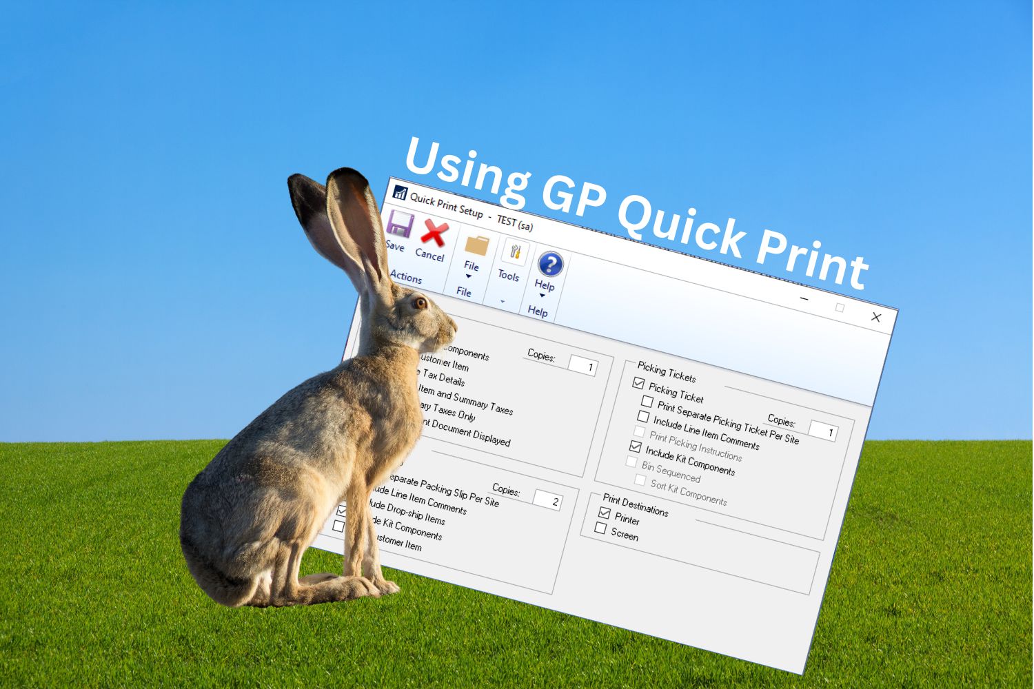 How To Use Sales Transaction Entry Quick Print In GP CSSI
